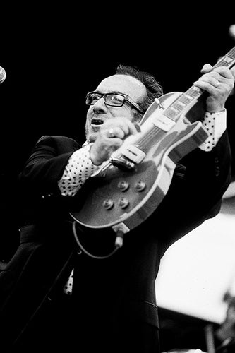 Elvis Costello 8x10 loose print