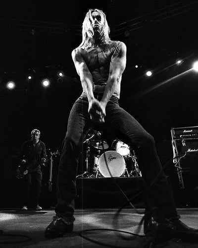 Iggy Pop 8x10 loose print