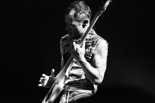 Flea (4) 8x10 loose print