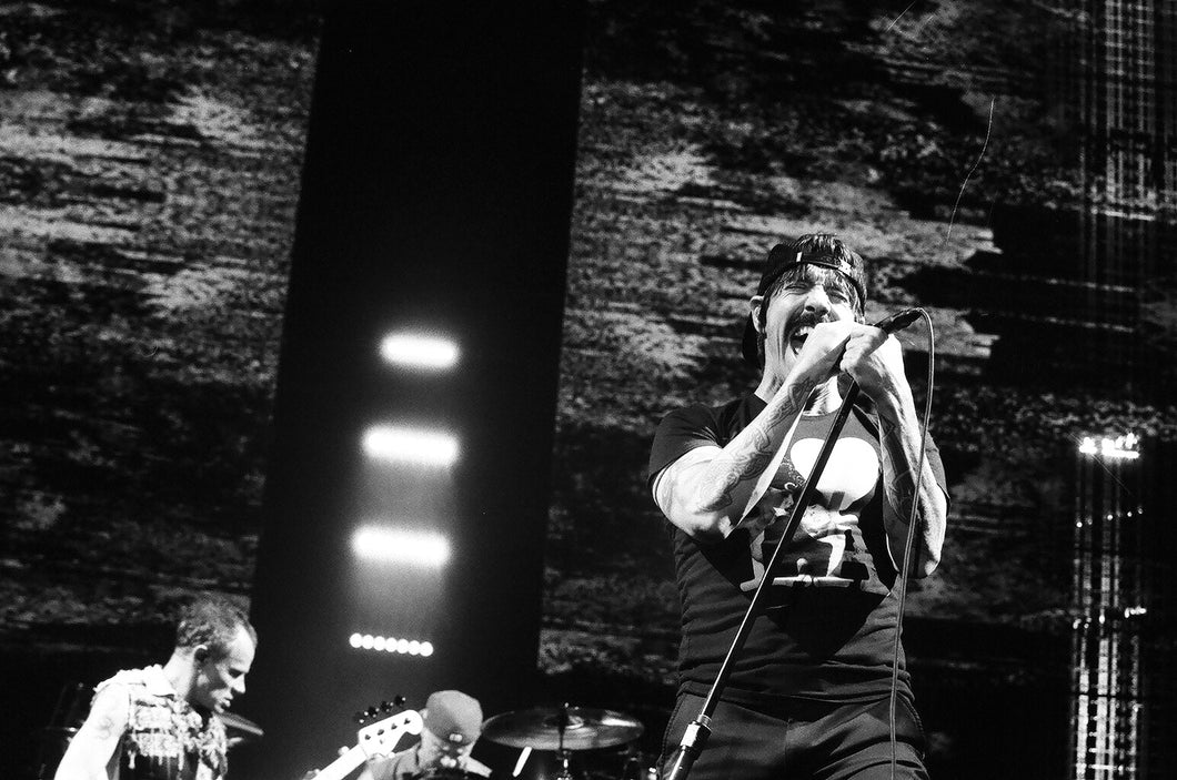 Red Hot Chili Peppers (2) 8x10 loose print